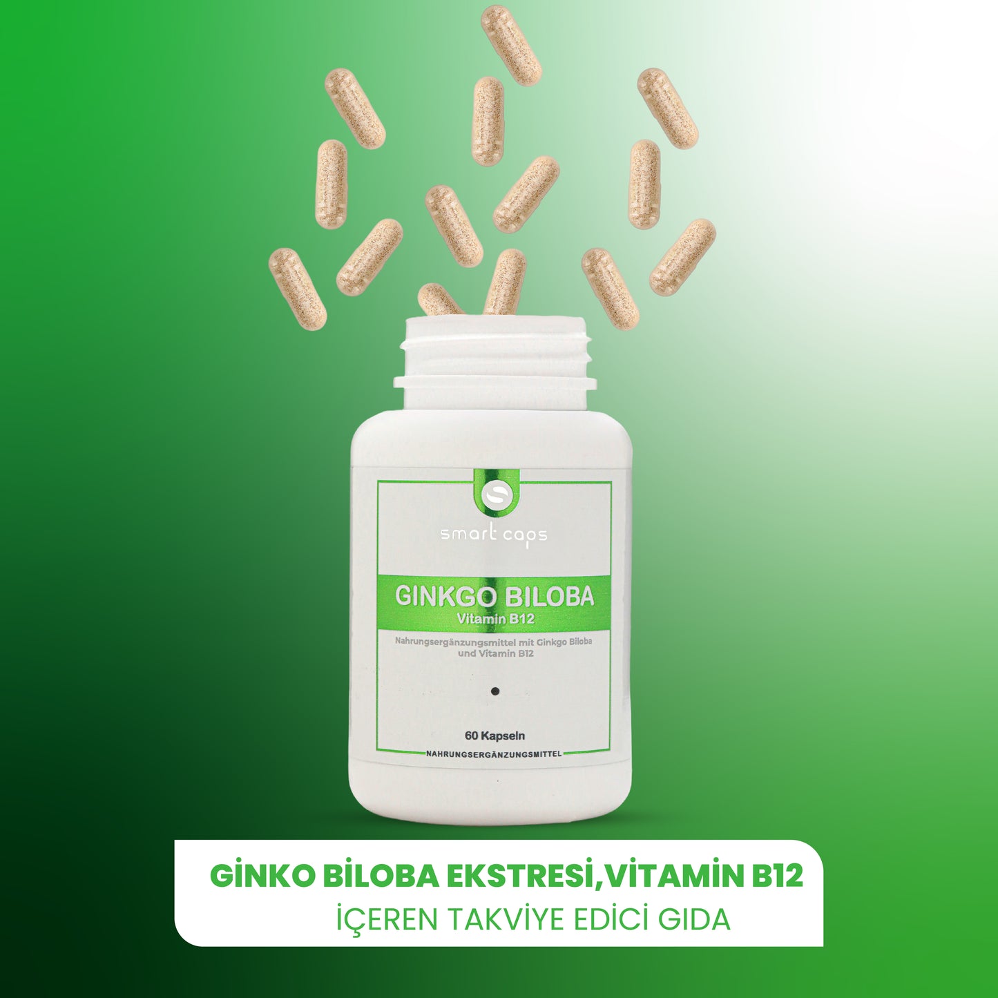 tr_ginkobiloba_3